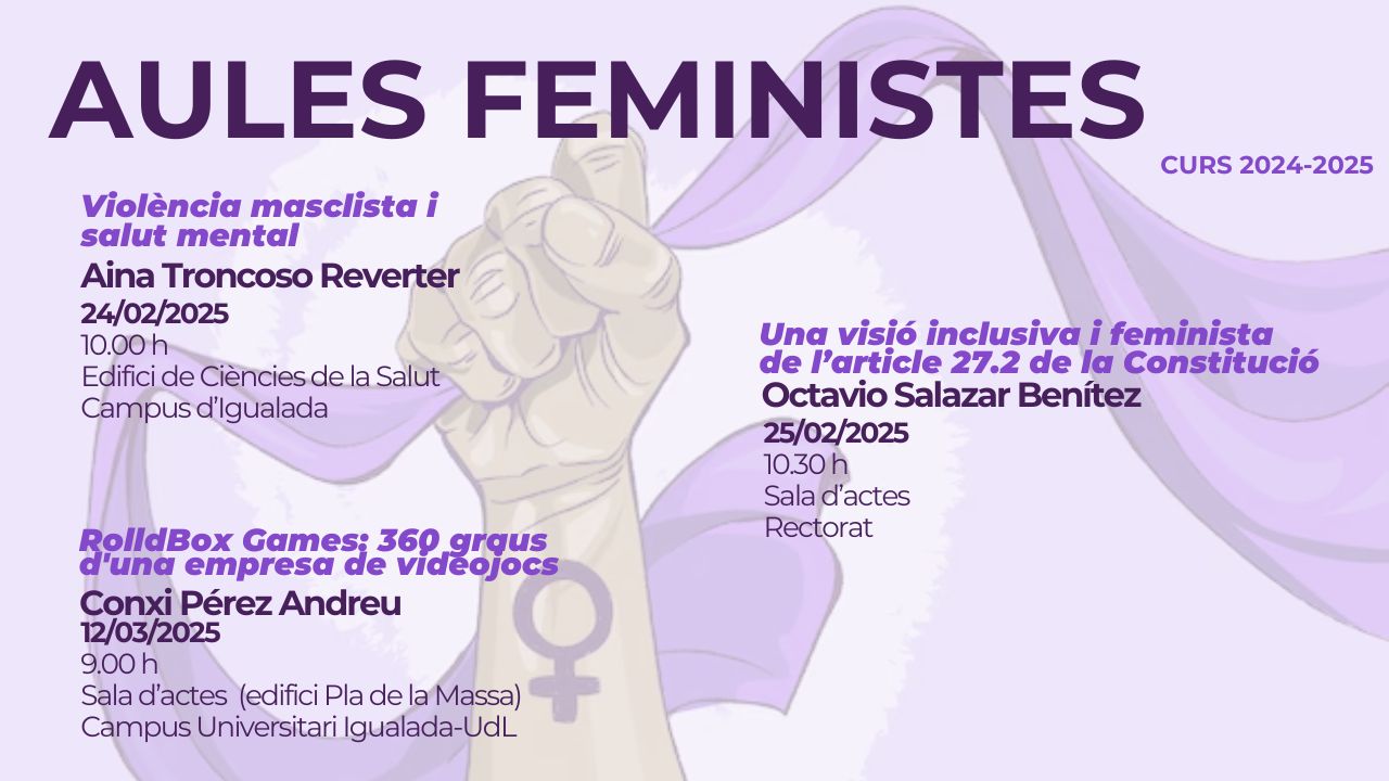 Aules feministes banner