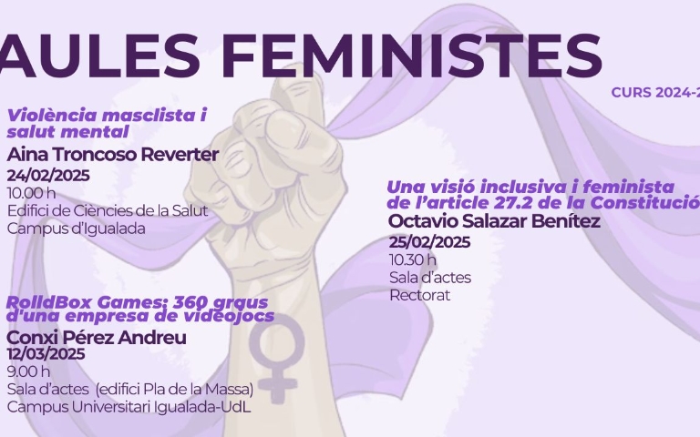 Aules feministes banner