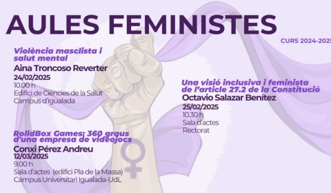 Aules feministes banner